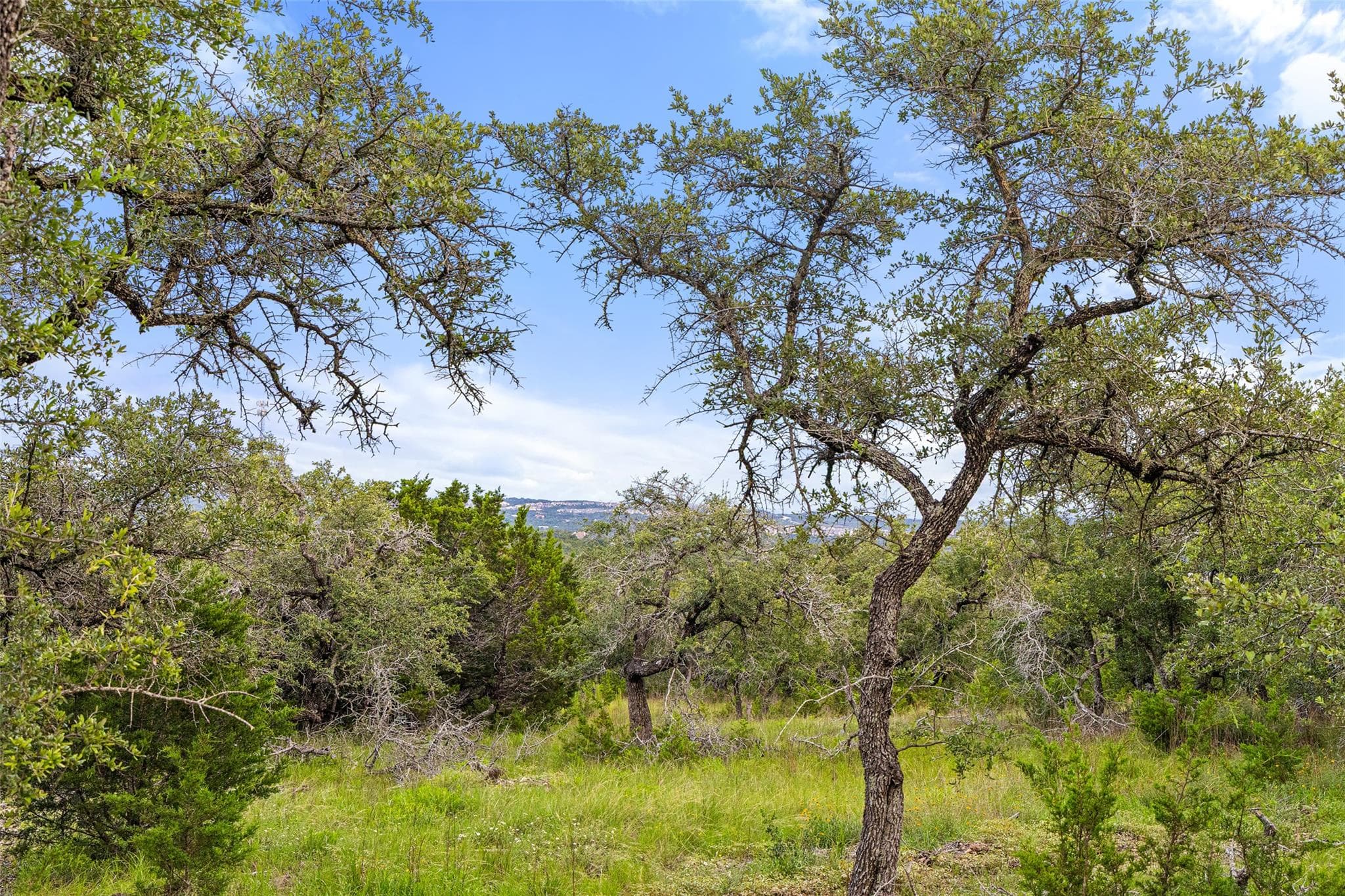 31860 Mirela Ann Rd, Dripping Springs, Texas 78620