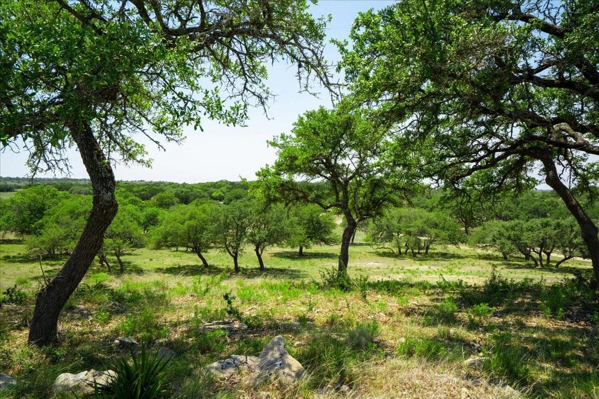 101 Mystic Overlook Dr, Dripping Springs, Texas